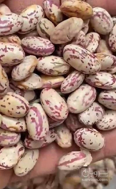 فروش لوبیا چیتی