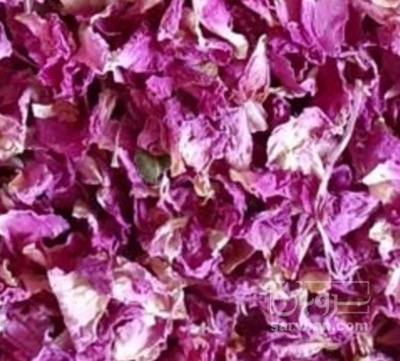 فروش گل محمدی (گیاه‌ دارویی)