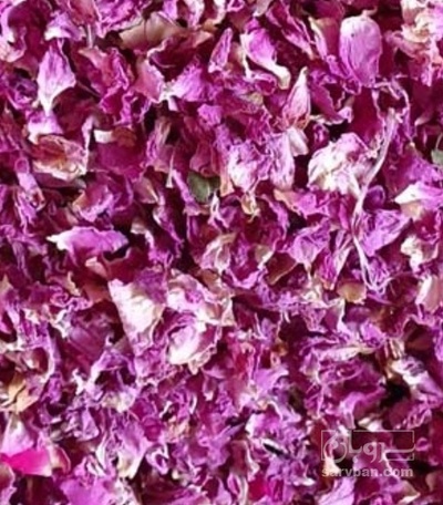 فروش گل محمدی (گیاه‌ دارویی)