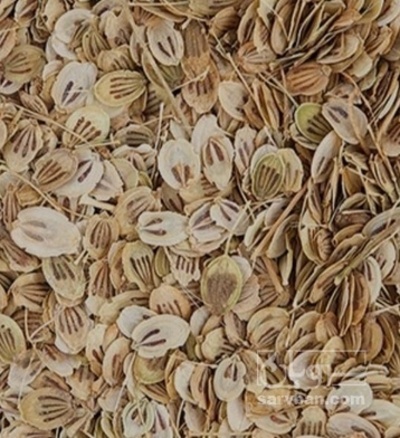 فروش گلپر (گیاه‌ دارویی)