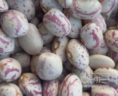 فروش لوبیا چیتی