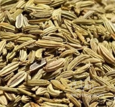 فروش رازیانه (گیاه‌ دارویی)