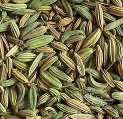 فروش زیره سبز