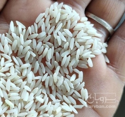 فروش برنج صدری