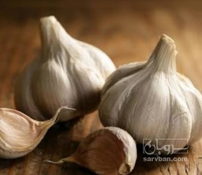 فروش سیر درهم