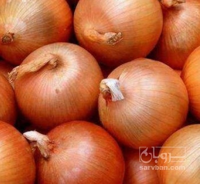 فروش پیاز زرد