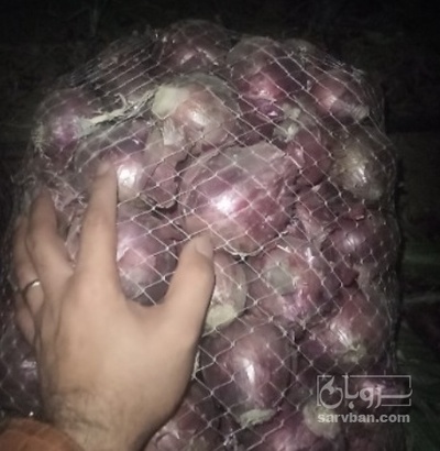 فروش پیاز قرمز