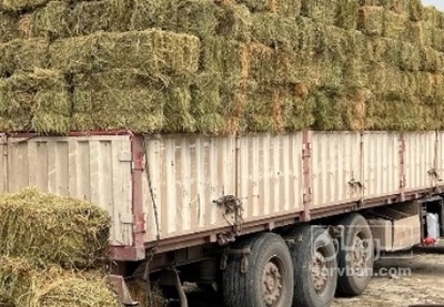 فروش یونجه پرس شده