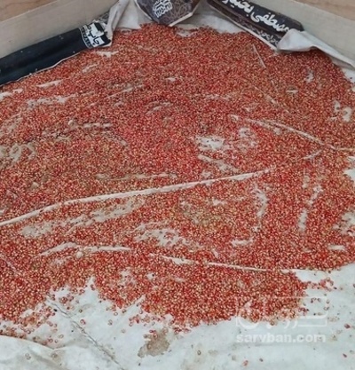 فروش  دانه انار خشک شده ترش