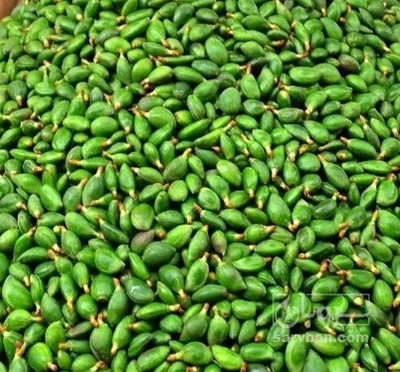 فروش چغاله بادام گلخانه ایی