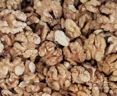 فروش مغز گردو