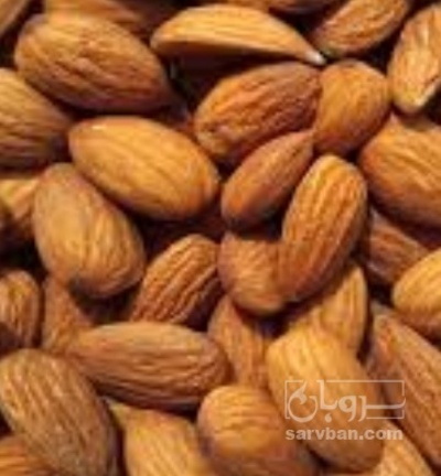 فروش مغز بادام سنگی