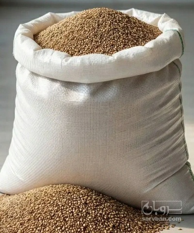 فروش کنجد بذری