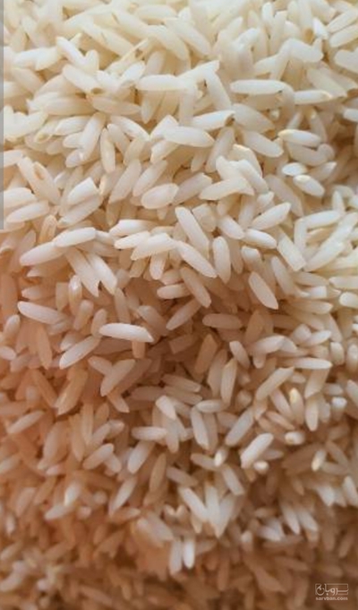فروش برنج
