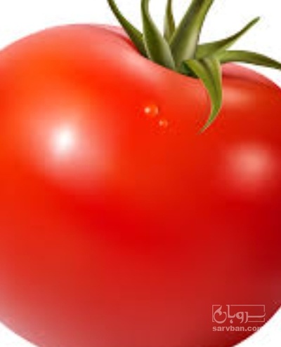 فروش گوجه فرنگی