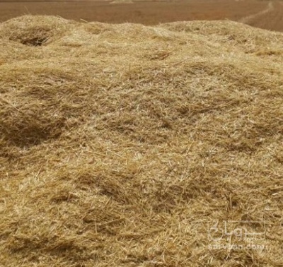 فروش کاه و کلش گندم | سروبان
