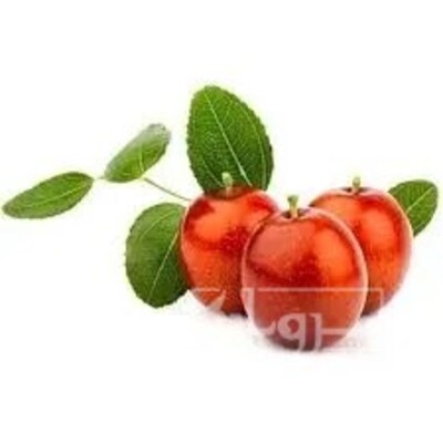 فروش نهال عناب