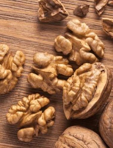 فروش گردو مغز