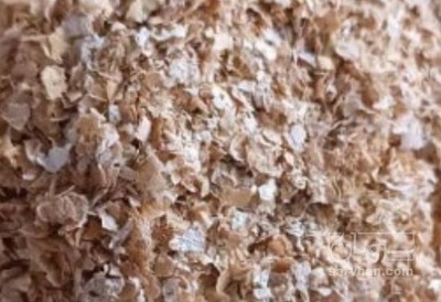 فروش سبوس گندم