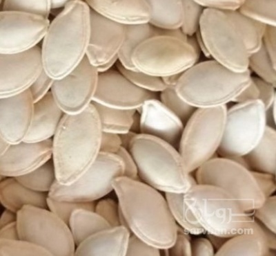 فروش تخمه  کدو بو داده