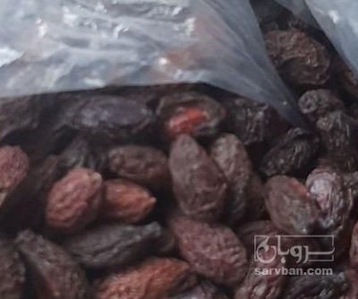 فروش زغال اخته خشک