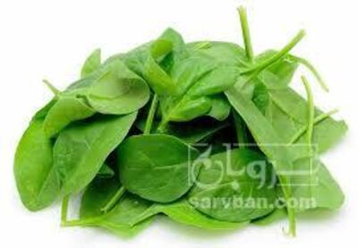 فروش بی بی اسفناج