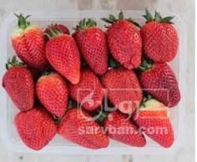 فروش توت فرنگی