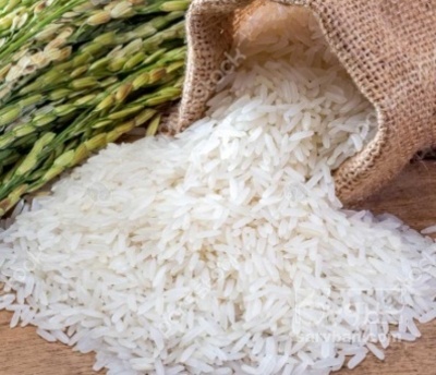 فروش برنج