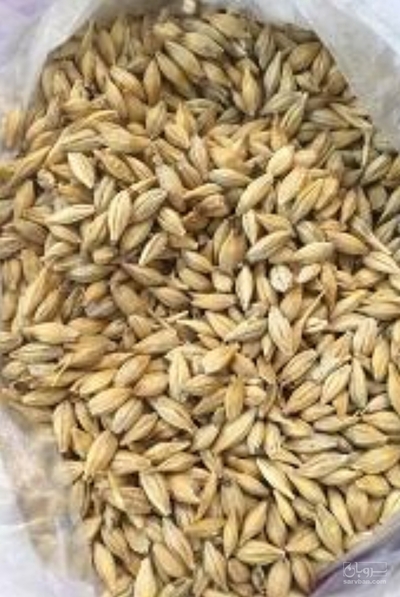 فروش جو