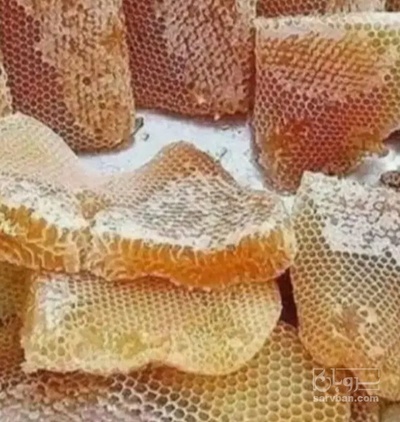 فروش عسل گیاهی