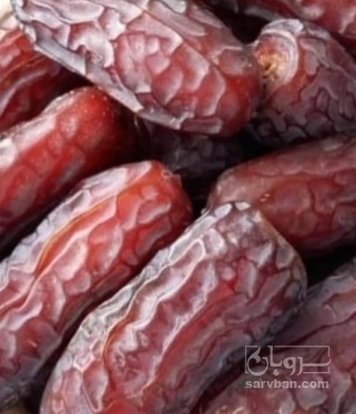 فروش خرما پیارم