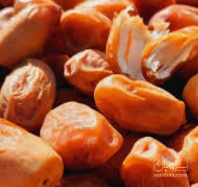 فروش خرما زاهدی