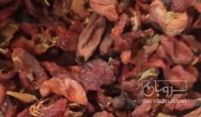 فروش فلفل پاپریکا