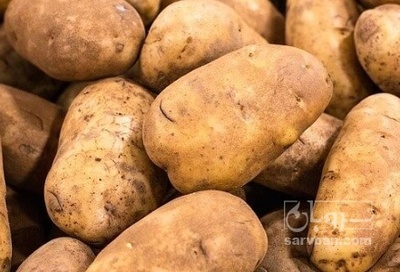 فروش سیب زمینی