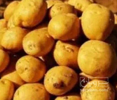فروش سیب زمینی بامبا