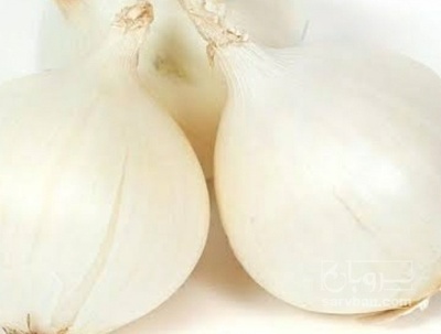 فروش پیاز سفید