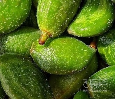 فروش چغاله بادام