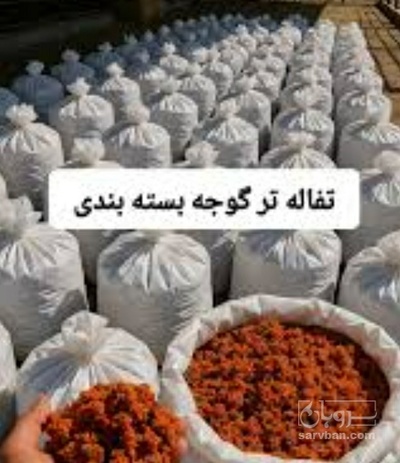 فروش  تفاله گوجه فرنگی تر