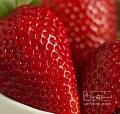 فروش توت فرنگی