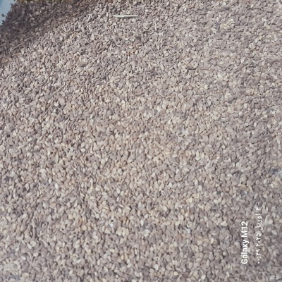 فروش کنجدقهوه ای