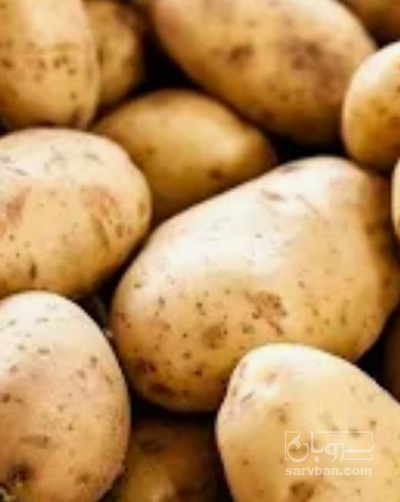 فروش سیب زمینی