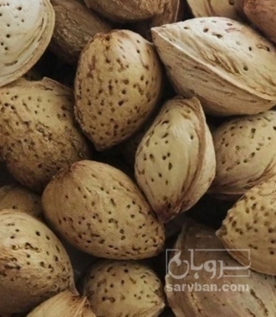 فروش بادام نیمه سنگی
