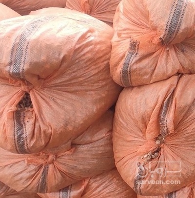 فروش بادام زمینی گلی