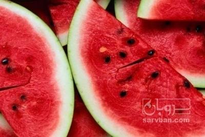 فروش هندوانه