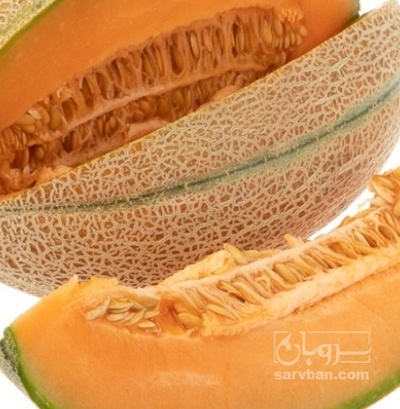 فروش طالبی جانا