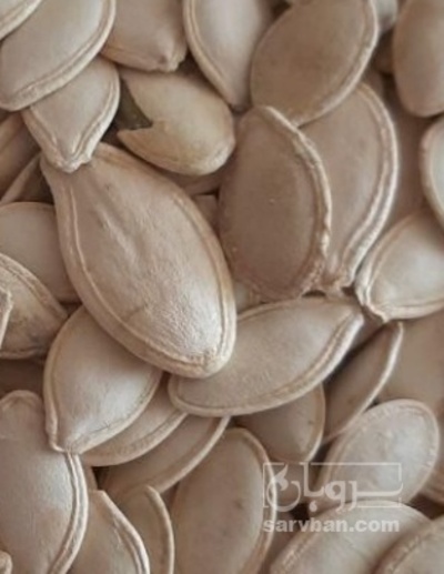 فروش تخمه  کدو بو داده