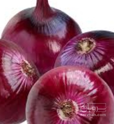 فروش پیاز قرمز