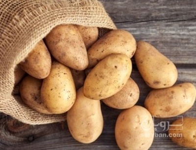 فروش سیب زمینی