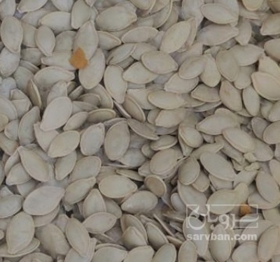 فروش تخمه  کدو بو داده