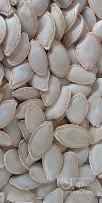 فروش تخمه  کدو بو داده